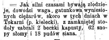 23031881Kielecka
