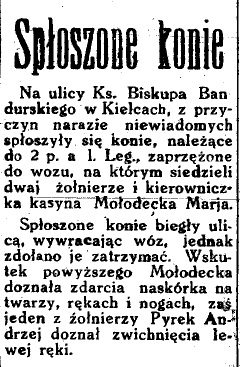 23031935Kielecka6
