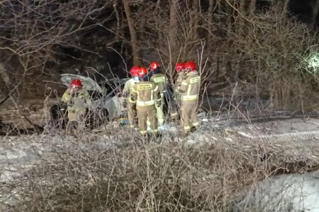 Zasnął i uderzył w drzewo. Matka z dzieckiem poszkodowani