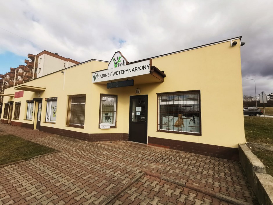 Bezpłatna Opieka Weterynaryjna dla zwierząt uchodźców z Ukrainy w Gabinecie "Panda"