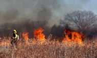 Już 78 pożarów traw od początku roku