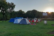 Zabiwakują w Ogrodzie Botanicznym