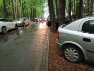 Nagminnie parkują w lesie – radny interweniuje, straż wystawia mandaty