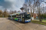 Decyzji w sprawie elektrycznych autobusów w Kielcach wciąż nie ma