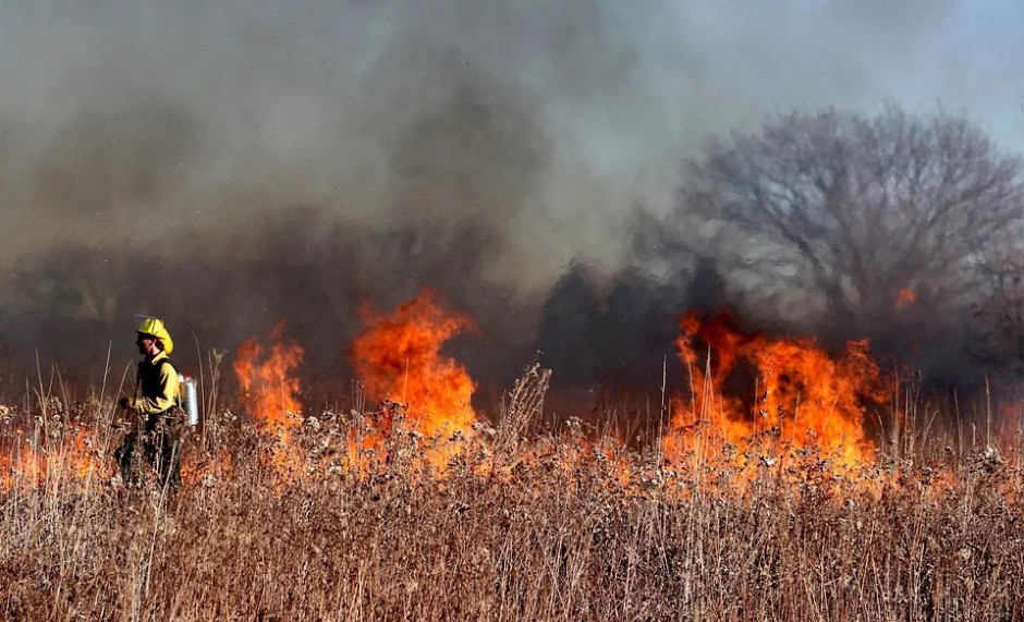 Wiosenne pożary traw. Przeszło 300 interwencji od początku roku