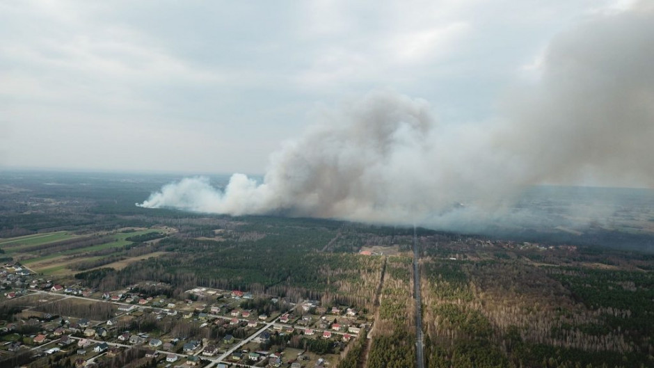 Pożar lasu w okolicy Sukowa. W akcji 11 zastępów straży pożarnej