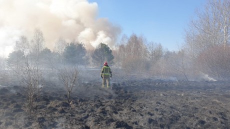 Trawy już płoną. 77 pożarów w tym roku