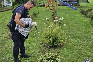 Ranne zwierzęta, szybka interwencja policjantów. Sarna i bocian trafiły pod opiekę lekarzy