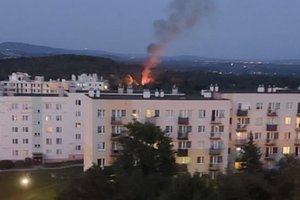 [AKTUALIZACJA] Pożar na ogródkach działkowych