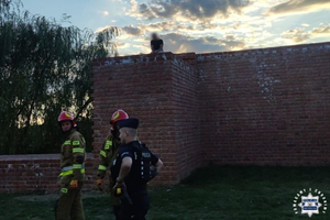 Wspiął się na mur i... bał się zejść. Pomogli strażacy i policjanci