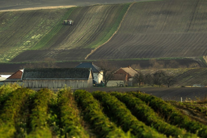 Wybiorą najlepszą gminę w województwie