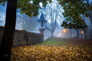 Poznają nieznane zakamarki miasta