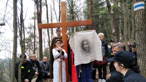 Droga Krzyżowa na Zamczysko