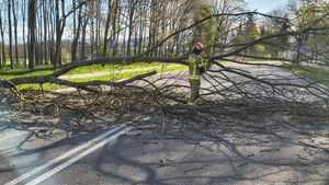 Wichury i pożary przysporzyły pracy strażakom. Jeden weekend – ponad dwieście interwencji