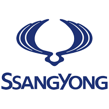 ssy logo