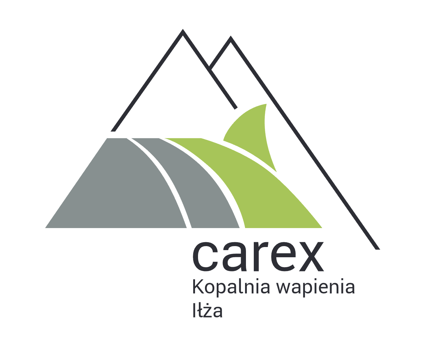 LOGO_CAREX.png