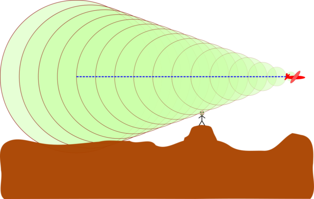 obserwator