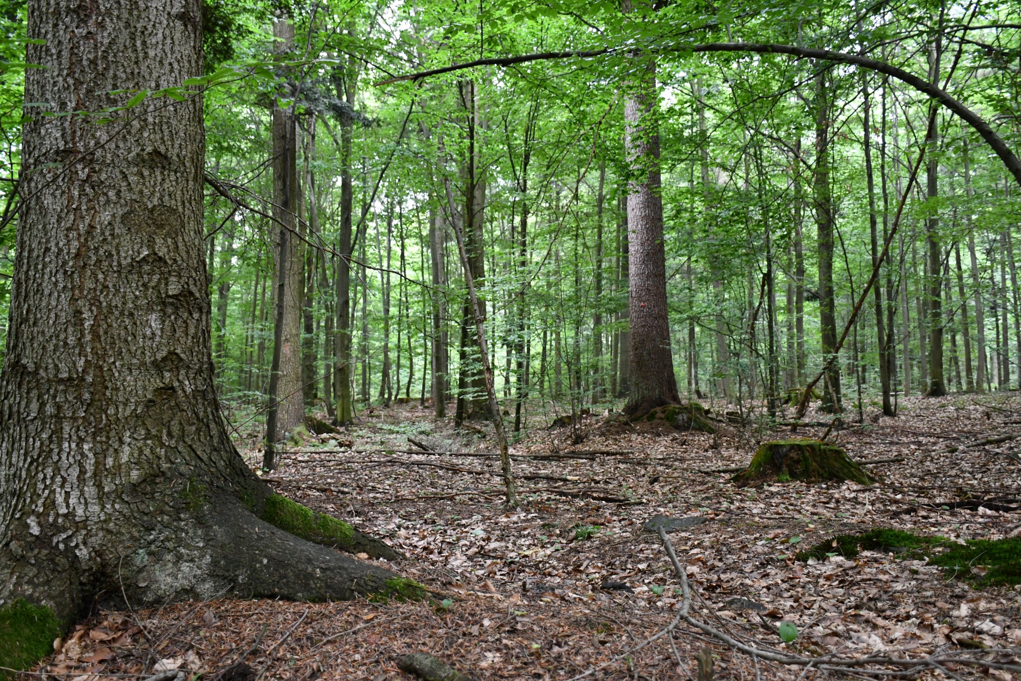 Mamy dwa nowe rezerwaty w regionie