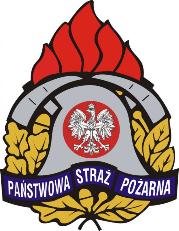 Strażacy pomagali kotom