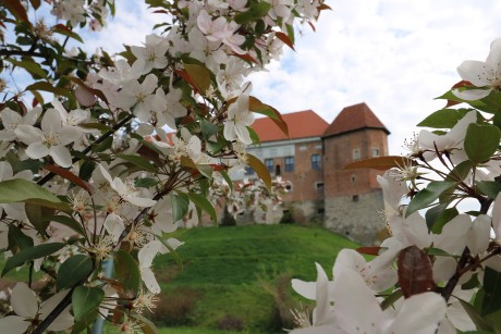 Spędź majówkę w… Zamku Królewskim!
