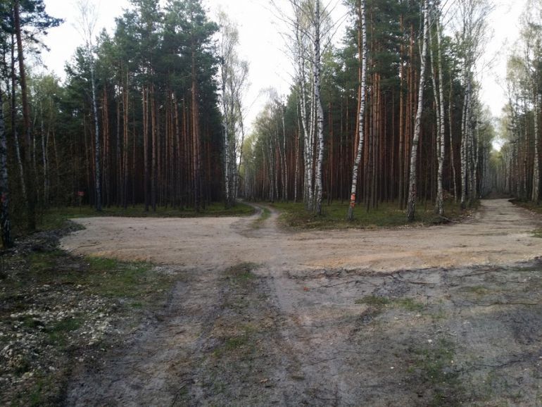 Eko-kwadrans Sygnały natury: co z Białowieżą?