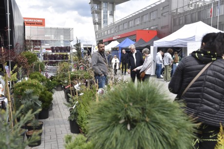 Już w przyszły weekend startują targi „Dom ogród i Ty”