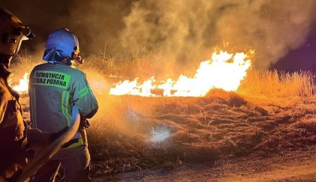 Kilka dni ciepła i plaga pożarów traw