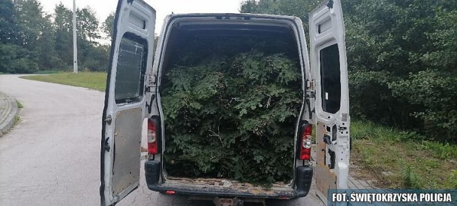 Bus wypełniony stroiszem. Znowu kradną na potęgę