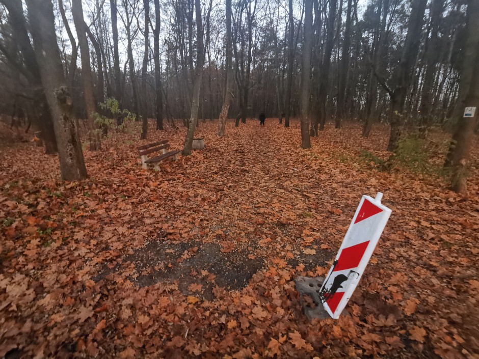 [INTERWENCJA] Park Leśny tonie w gnijących liściach. Od poniedziałku wielkie sprzątanie