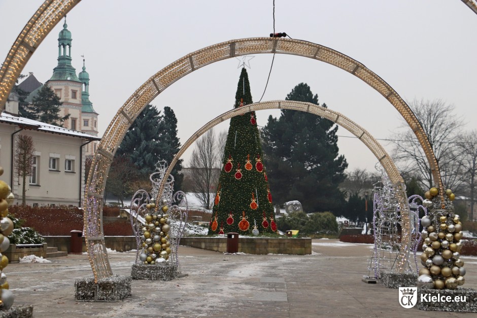 Choinka stanęła na kieleckim Placu Artystów