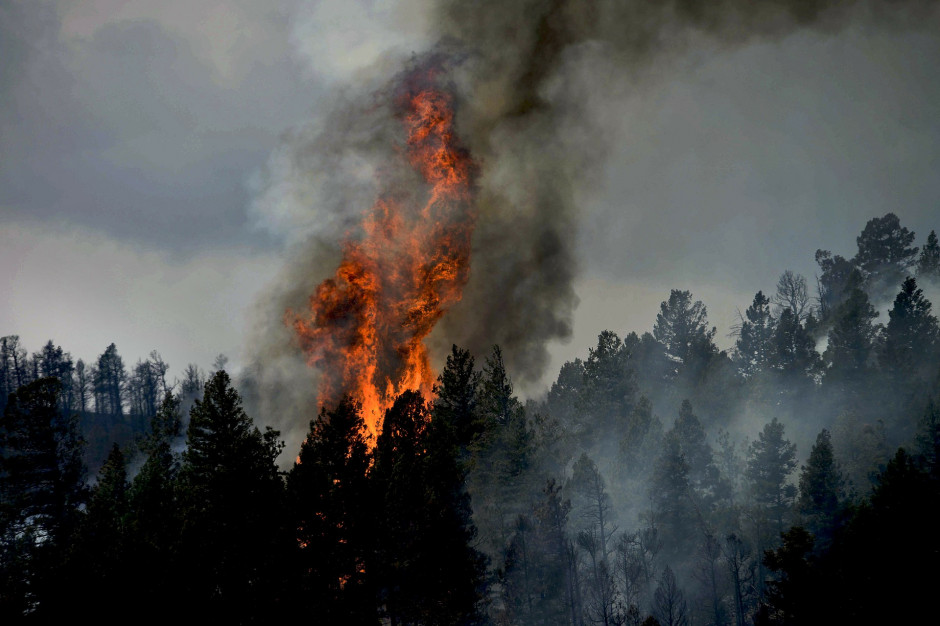 Wzrasta zagrożenie pożarowe w świętokrzyskich lasach
