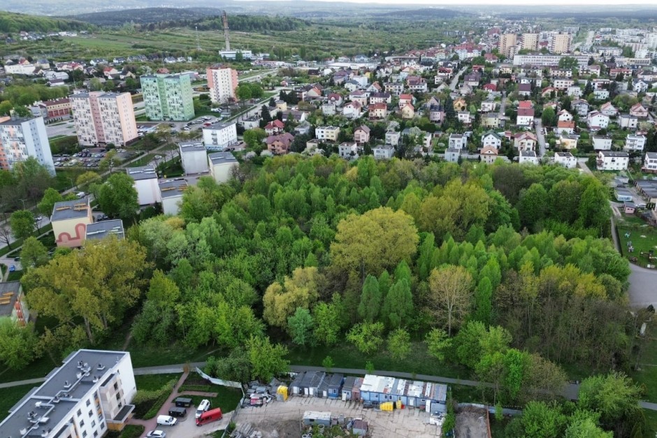 Coraz bliżej parku na Czarnowie