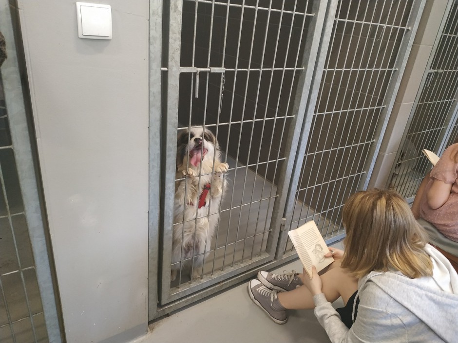 Psy też kochają książki! Schronisko w Dyminach w akcji "Czytanie na szczekanie"