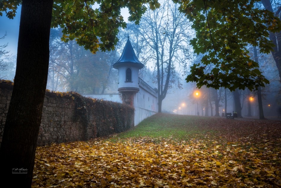 Poznają nieznane zakamarki miasta