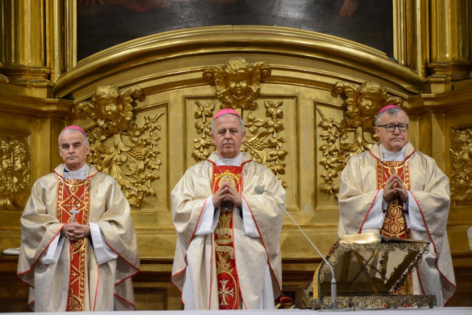 Nasi biskupi udają się z wizytą do papieża Franciszka