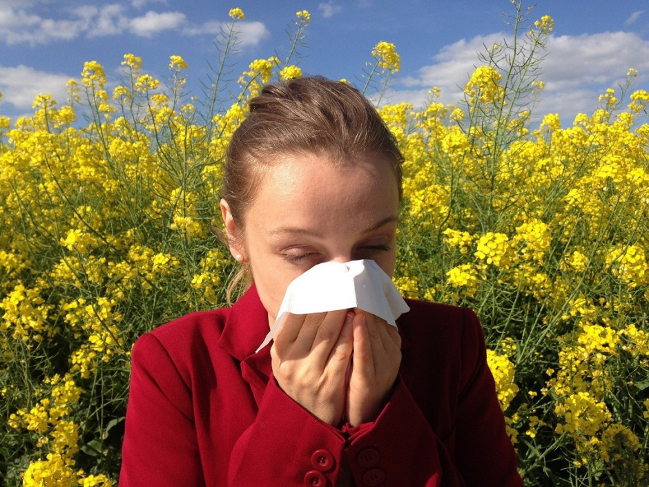 Lekarze apelują: Alergia to nie koronawirus
