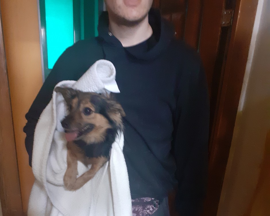 Makabryczne odkrycie w mieszkaniu na Krakowskiej. Strażnicy miejscy uratowali wychudzonego i zaniedbanego psa
