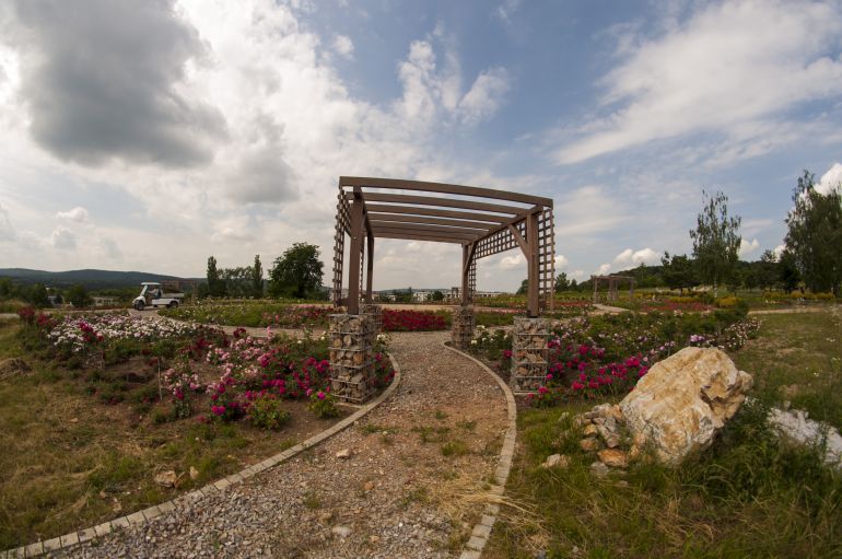 W połowie lipca otworzą Ogród Botaniczny!