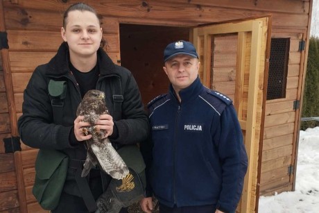 Nietypowa interwencja. Policjanci uratowali myszołowa