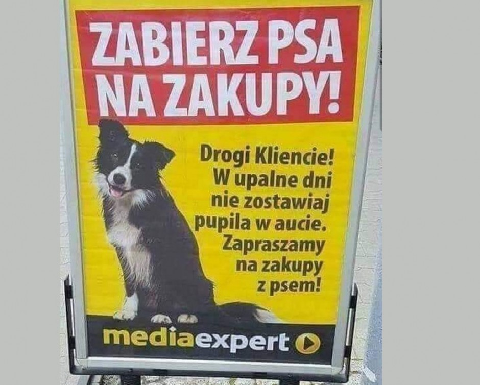 Dog friendly, czyli sklepy przyjazne psiakom