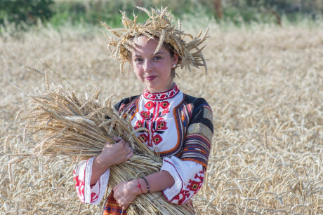 Przed nami Święto Plonów w Gminie Morawica