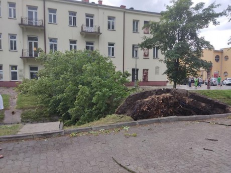 Połamane drzewa, zerwane dachy. Burza i silny wiatr nad Kielcami