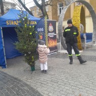 Choinka z odblaskami stanęła przy ulicy Sienkiewicza