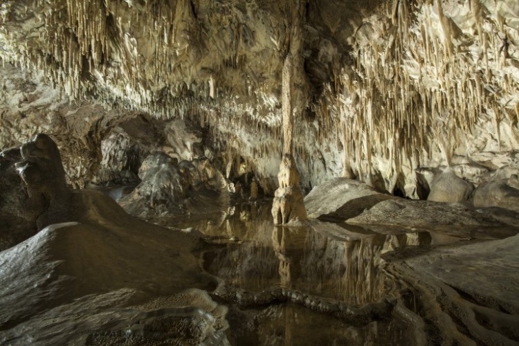 Jaskinia "Raj" już otwarta dla zwiedzających. W minionym roku pobity rekord zwiedzających