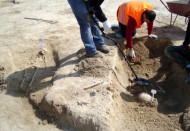 W Wąchocku przy budowie obwodnicy będą pracowali… archeolodzy
