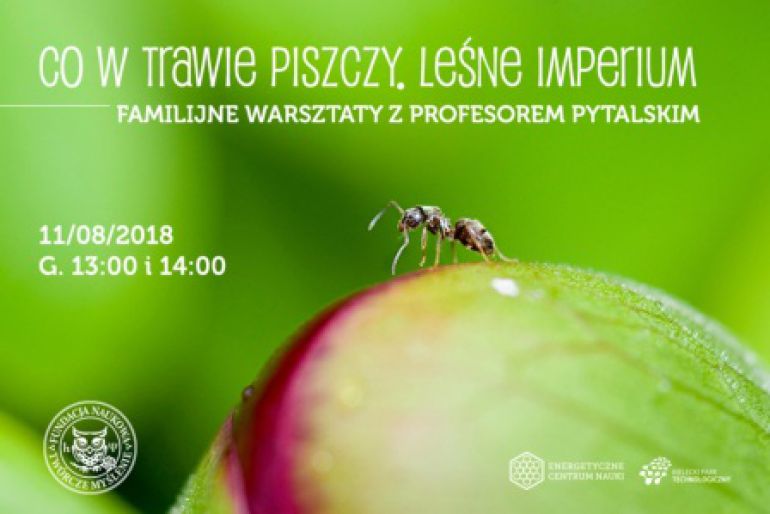 Familijne warsztaty - Co w trawie piszczy. Leśne imperium.