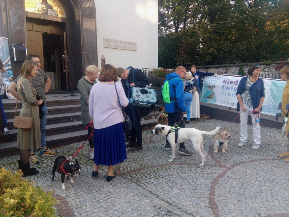 „Czas dla stworzenia”, czyli zwierzaki w Centrum Duszpasterskim