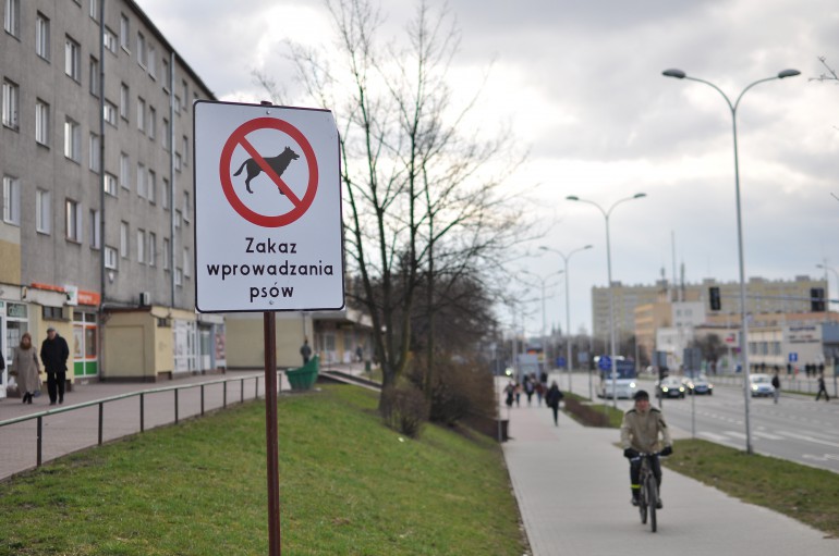 Zakaz wyprowadzania psów na osiedlu? To nielegalne!