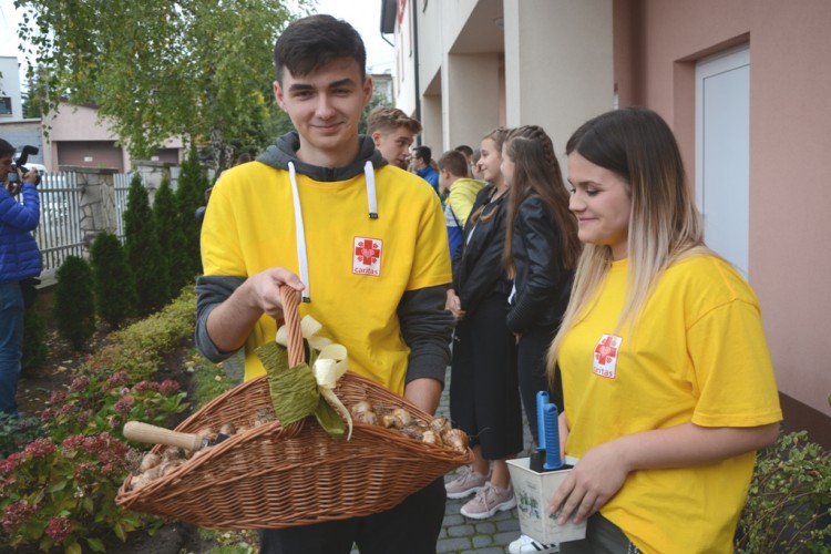 [FOTO] Zasadzili żonkile na Polach Nadziei. Początek kampanii wspierającej hospicjum