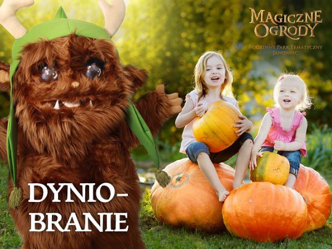 Magiczne ogrody i "Dyniobranie"